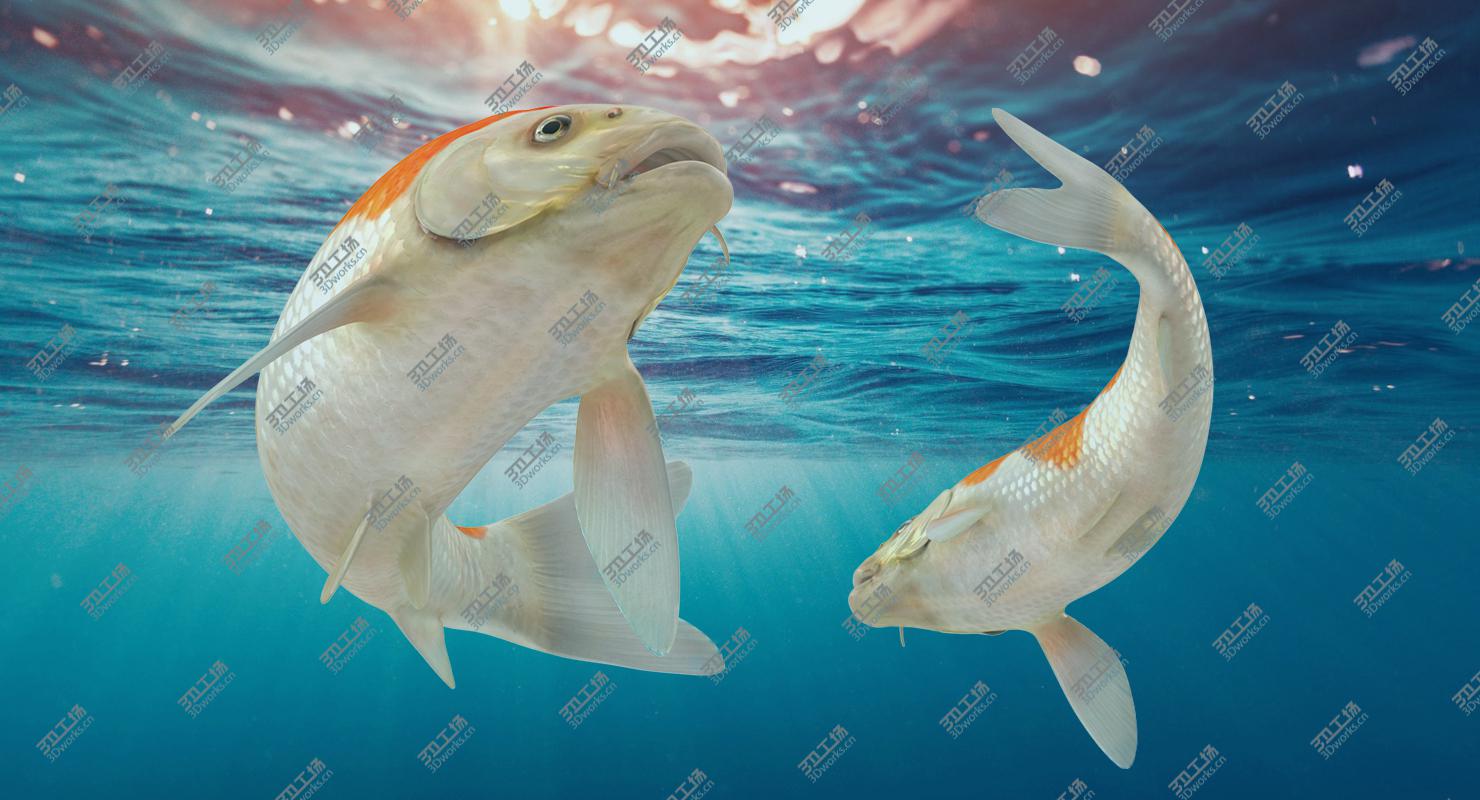 images/goods_img/2021040234/3D model Harivake Koi Fish Rigged for Maya/5.jpg